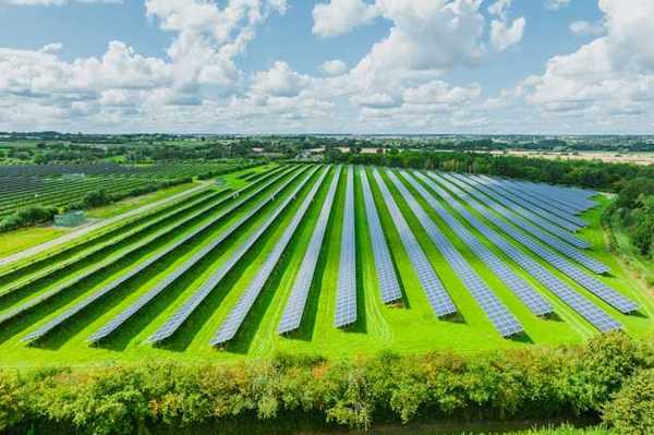 A row of solar panels located in a green field