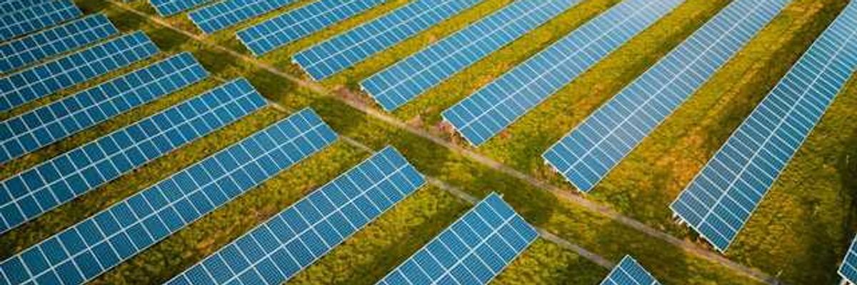 A row of solar panels stretching across a green landscape
