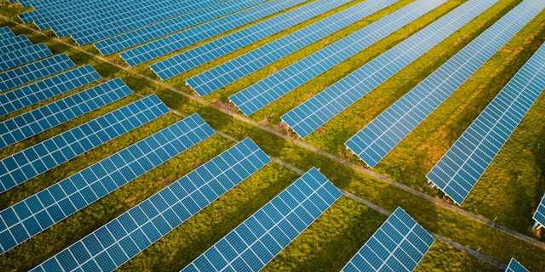 A row of solar panels stretching across a green landscape