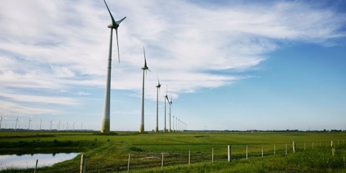 A row of wind turbines in a green field stretching into the distance.