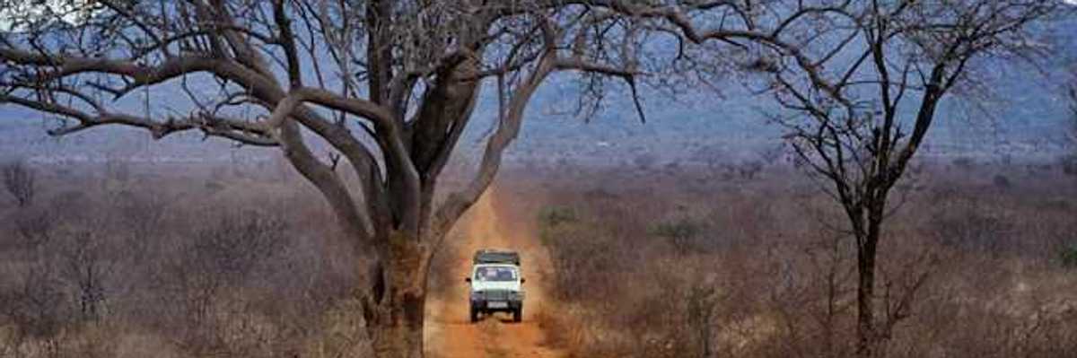A safari vehicle on the African savannah