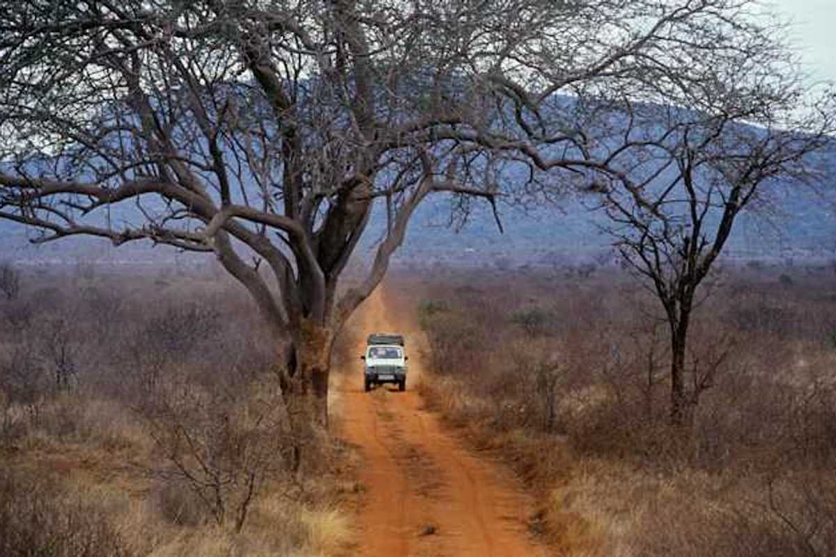 A safari vehicle on the African savannah
