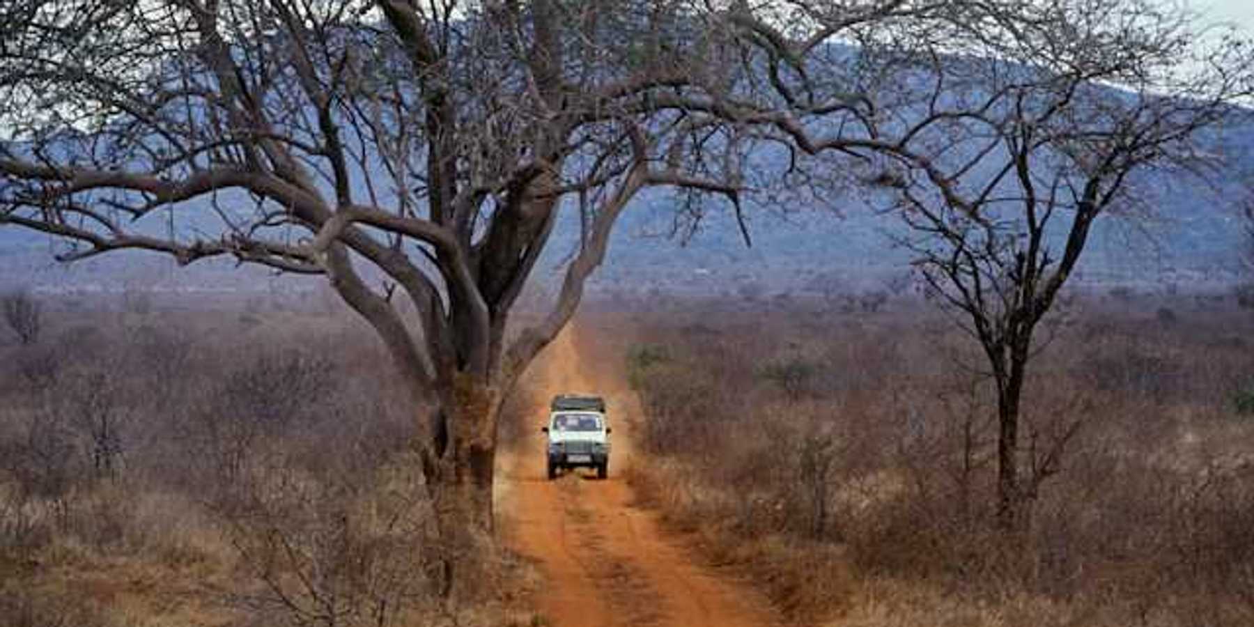 A safari vehicle on the African savannah