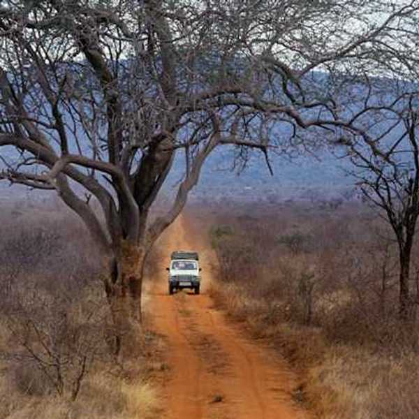 A safari vehicle on the African savannah