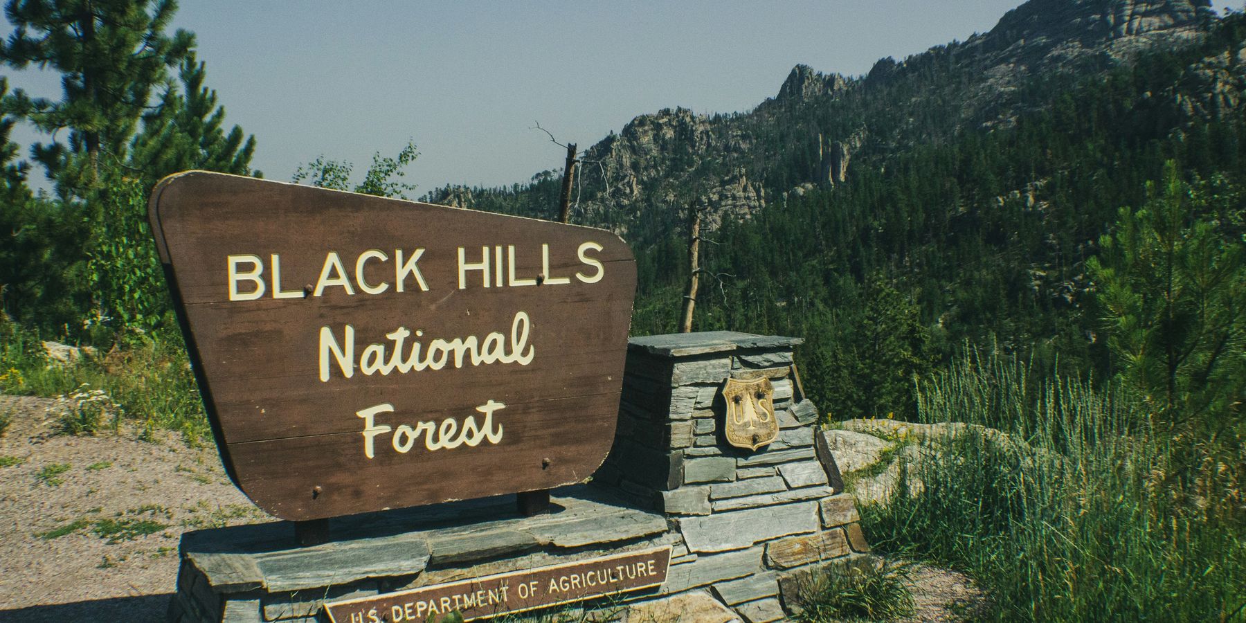 a sign for black hills national forest with a mountain in the background.