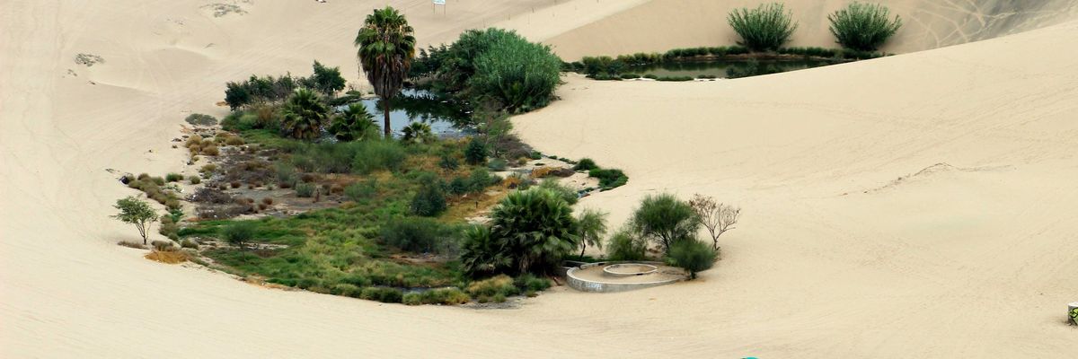A small oasis in the middle of the desert