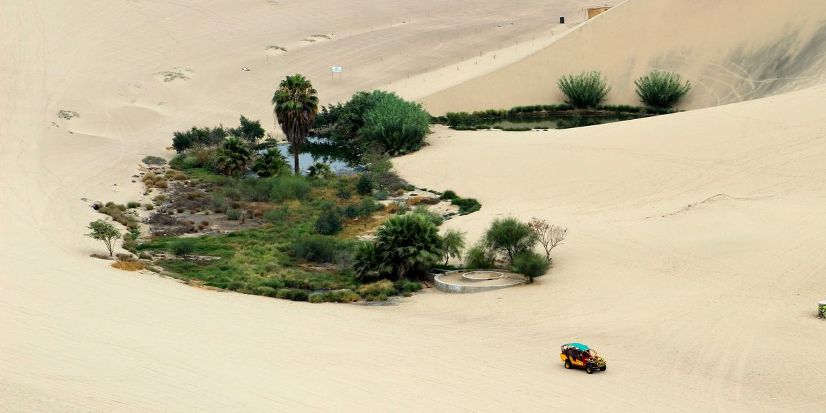 A small oasis in the middle of the desert