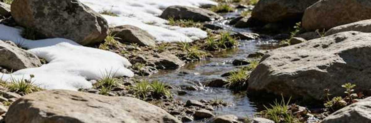 A small stream flows through rocks and melting snow