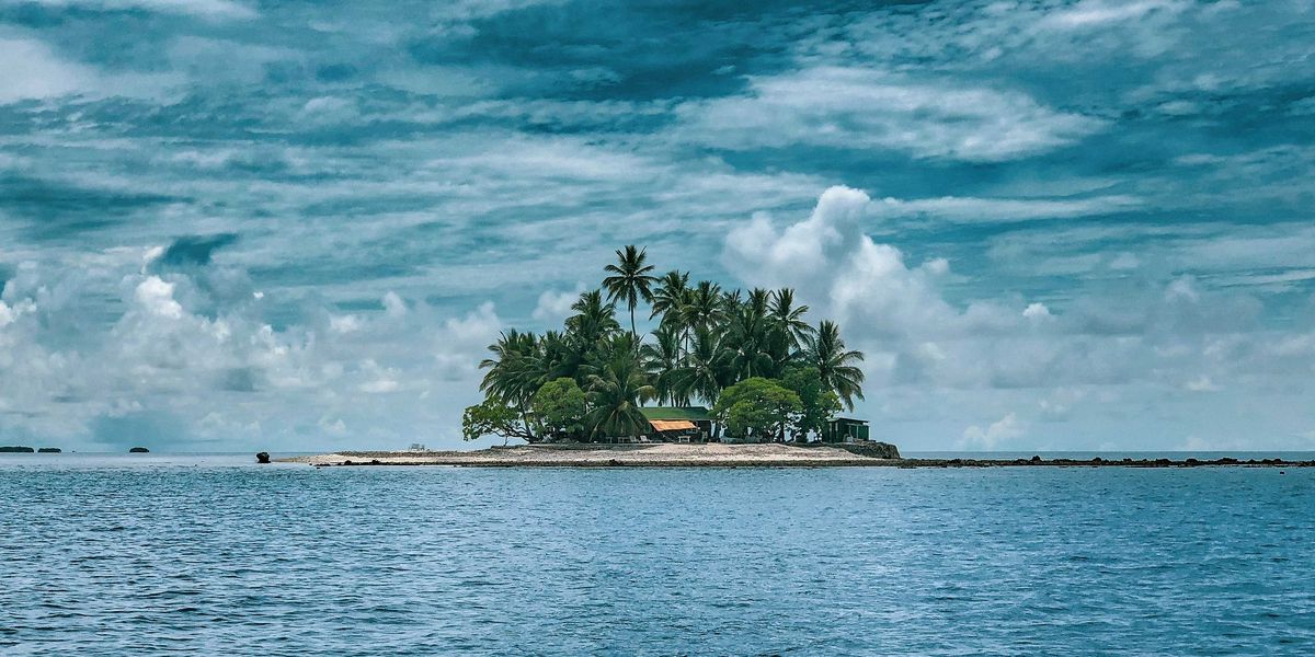 A small tropical island with palm trees and a small house.