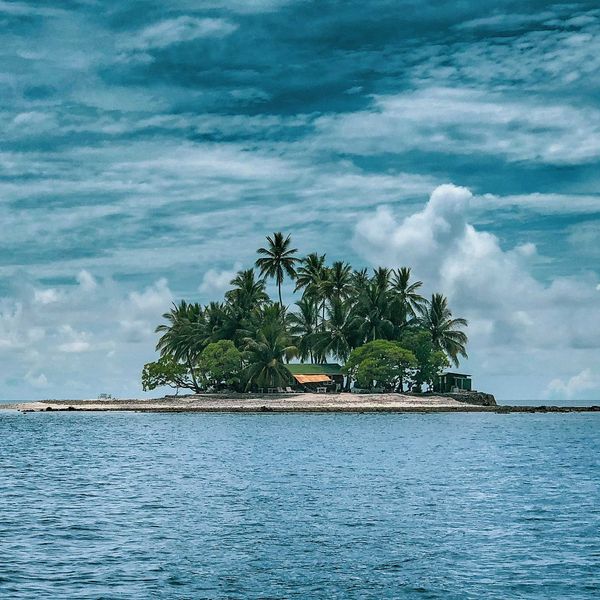 A small tropical island with palm trees and a small house.