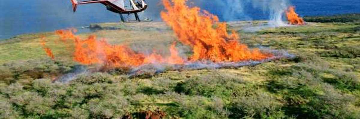 A small wildfire on a mountain with a helicopter flying overhead