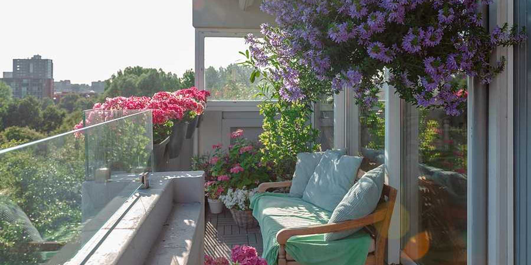 A sunny balcony with a bench and flower pots