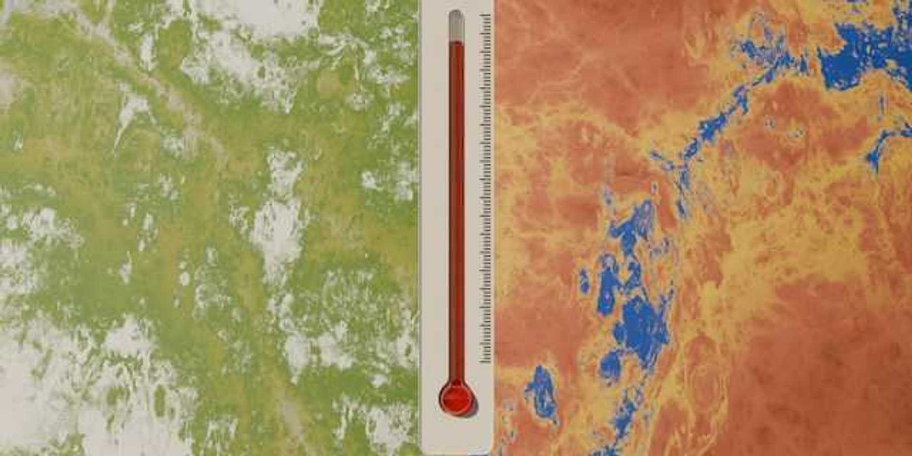 A thermometer in the middle of green and orange contrasting earth's surfaces