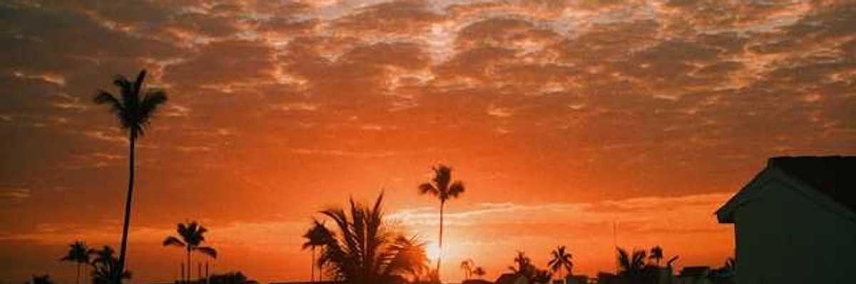 A tropical location with palm trees and the sunset in the background