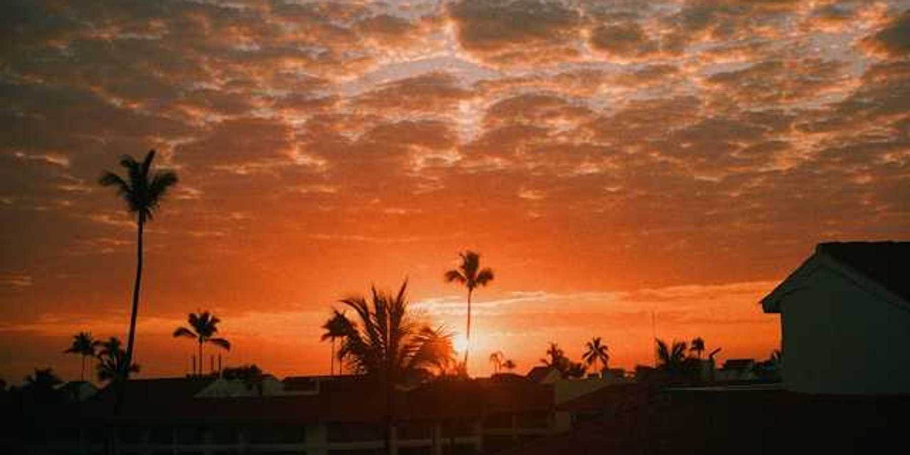 A tropical location with palm trees and the sunset in the background
