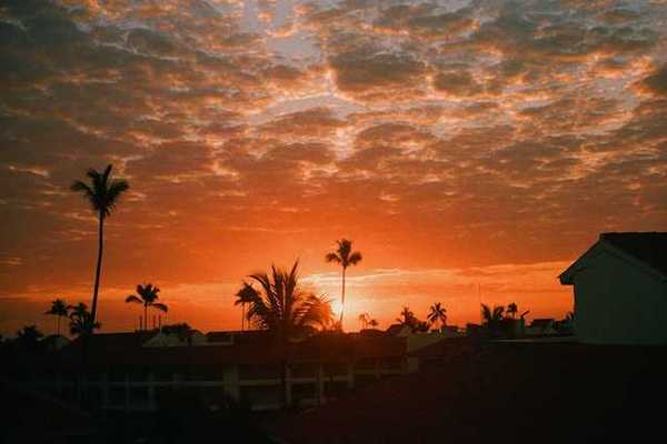 A tropical location with palm trees and the sunset in the background