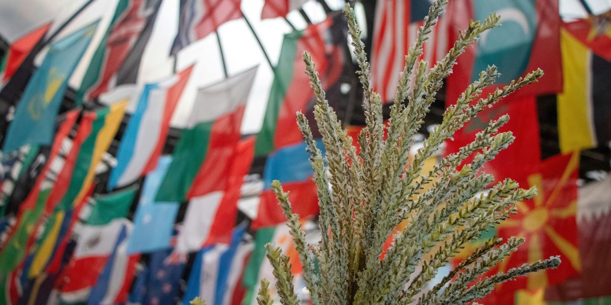 a variety of national flags hanging from the ceiling of a building