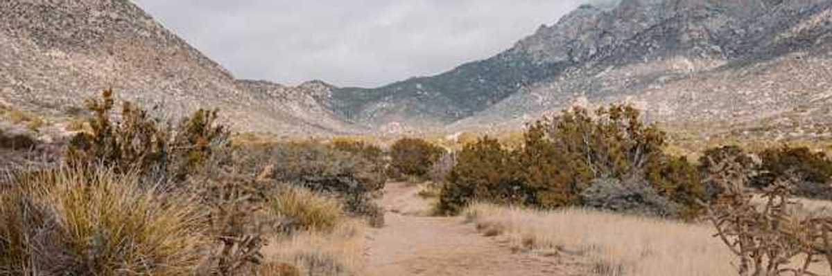 A view of a dirt path extending into a dry desert landscape with hills in the background