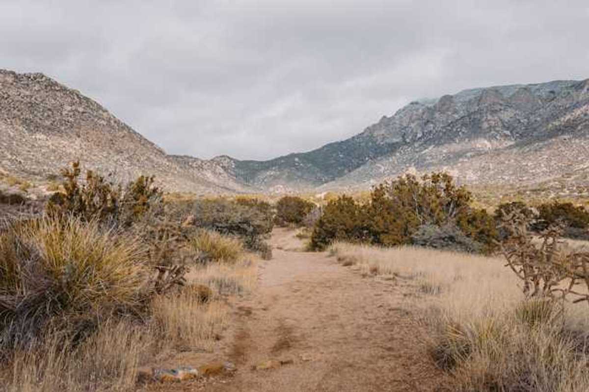 A view of a dirt path extending into a dry desert landscape with hills in the background