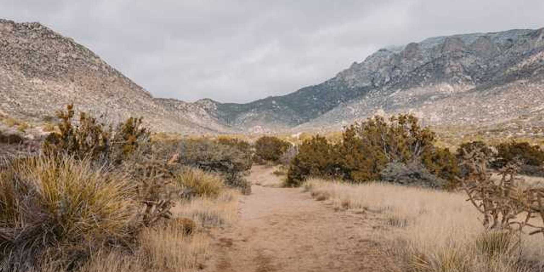 A view of a dirt path extending into a dry desert landscape with hills in the background