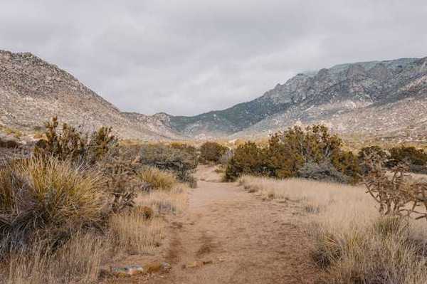 A view of a dirt path extending into a dry desert landscape with hills in the background