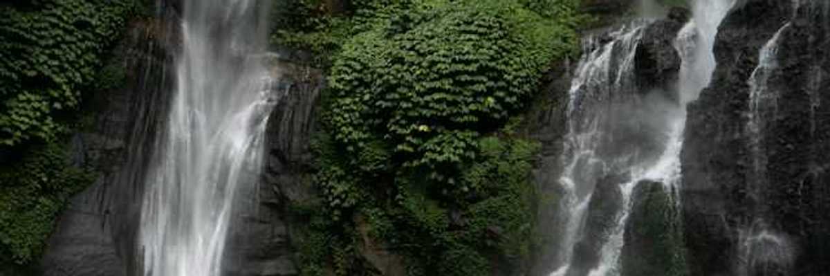 A view of a double waterfall in a green location