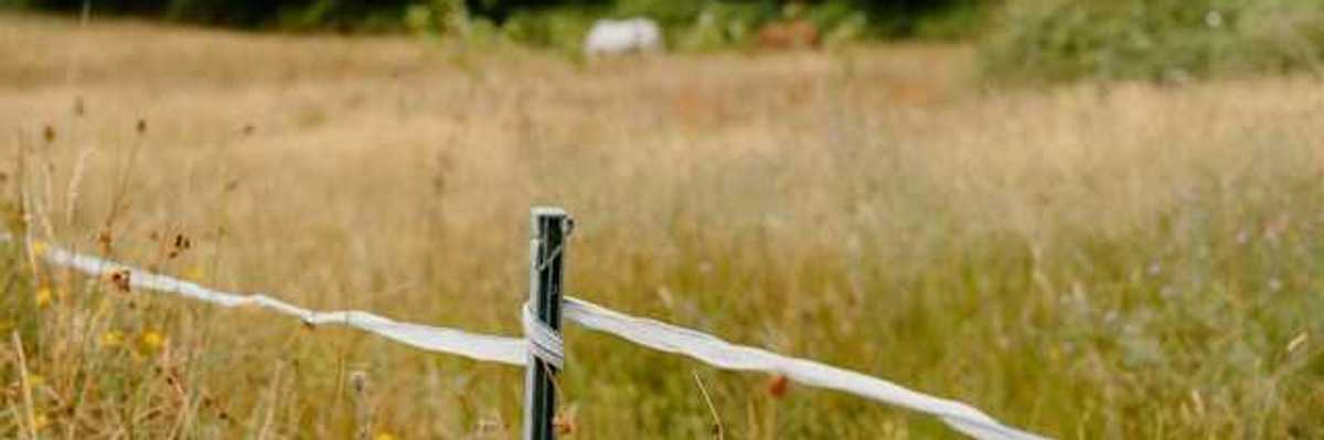 A view of a dry pasture with a twine fence in the foreground