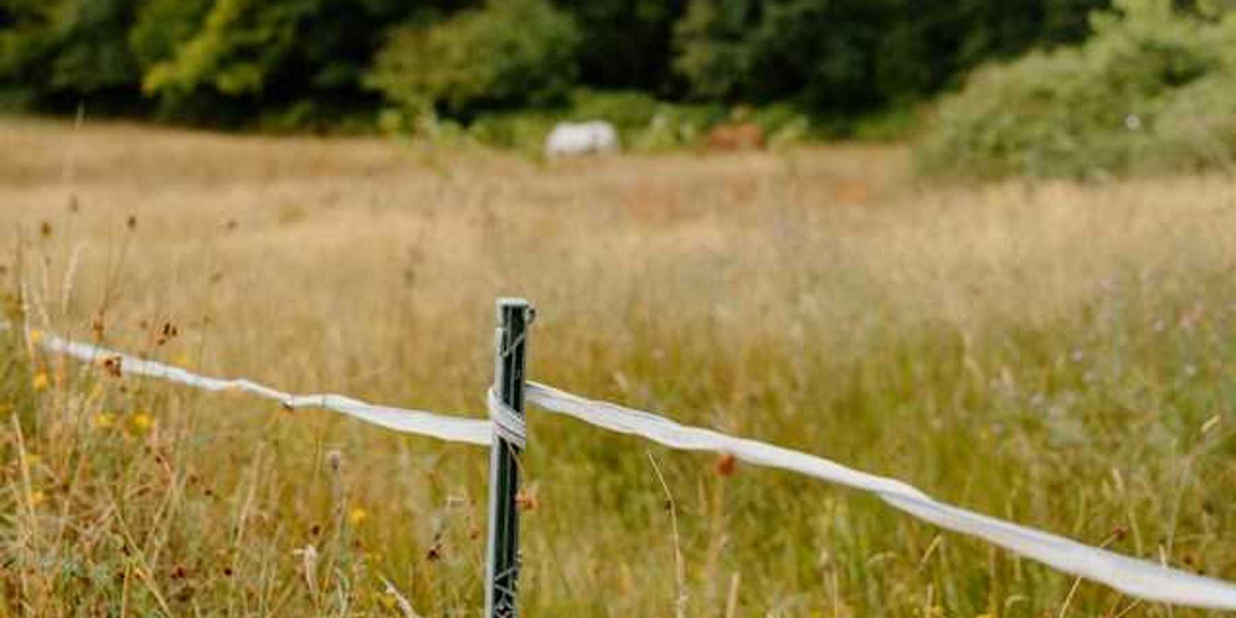 A view of a dry pasture with a twine fence in the foreground