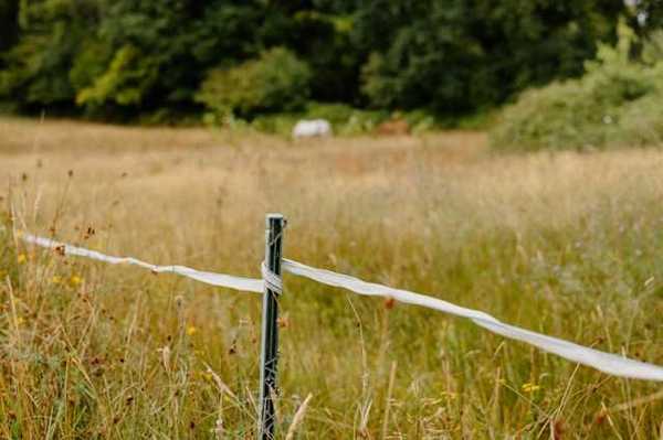A view of a dry pasture with a twine fence in the foreground