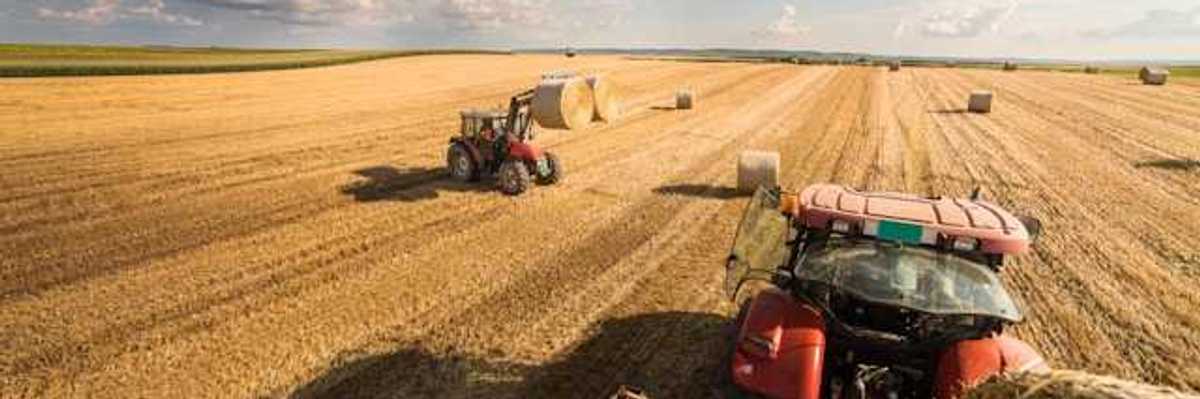 A view of a farm field being harvested by two farm tractors