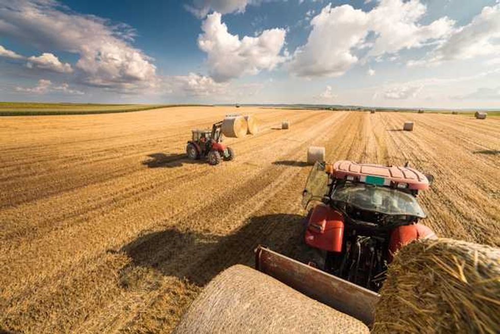 Interactive map predicts climate-driven farm decline by end of century
