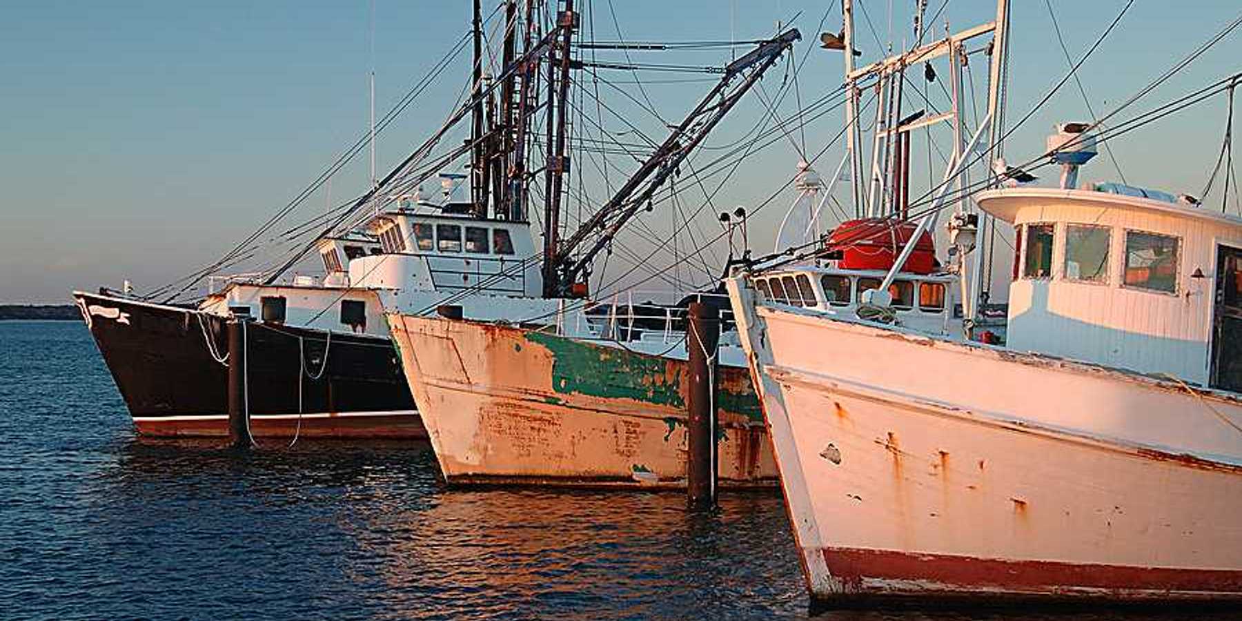 A view of a fleet of fishing boats at a dock