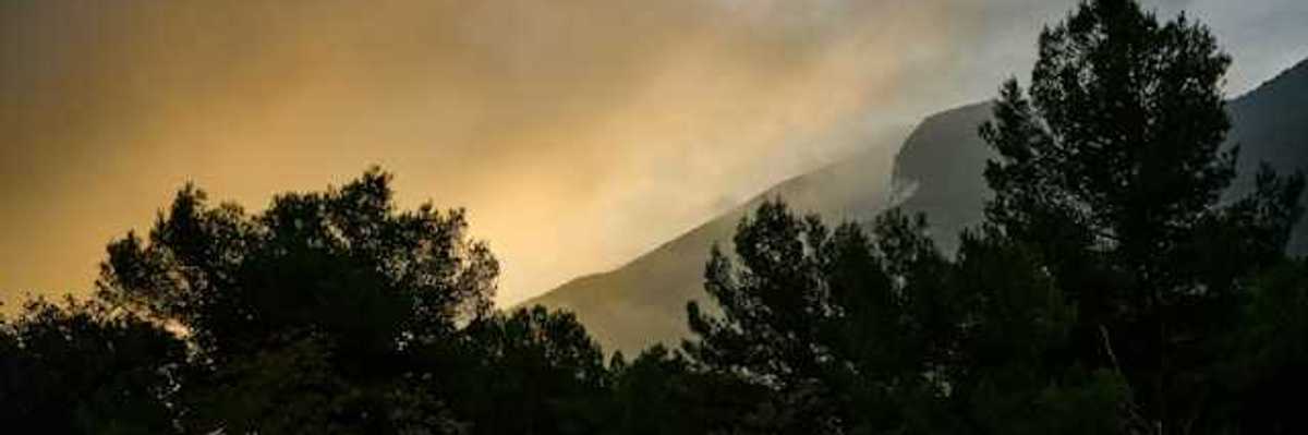 A view of a forest with smoke hovering above it