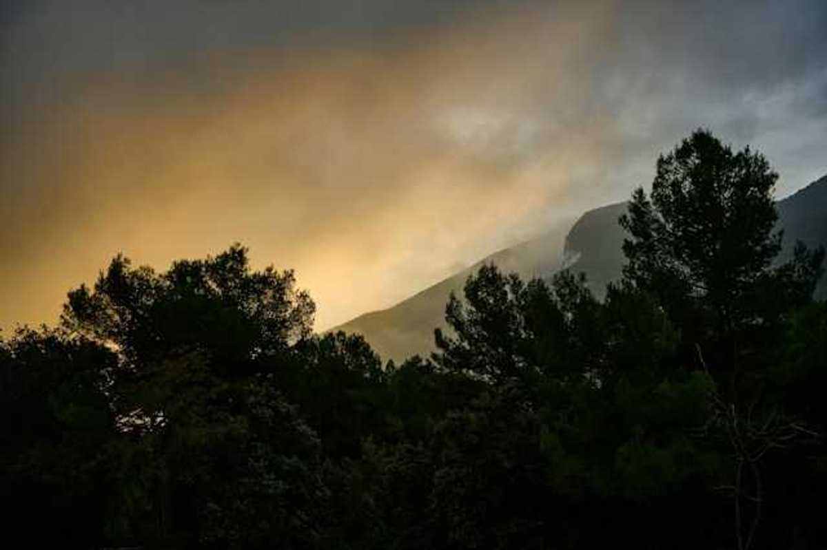 A view of a forest with smoke hovering above it