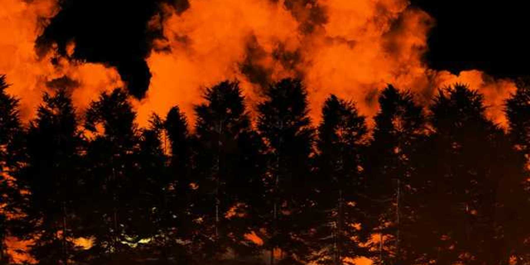 A view of a forested ridge with a wildfire burning in the background