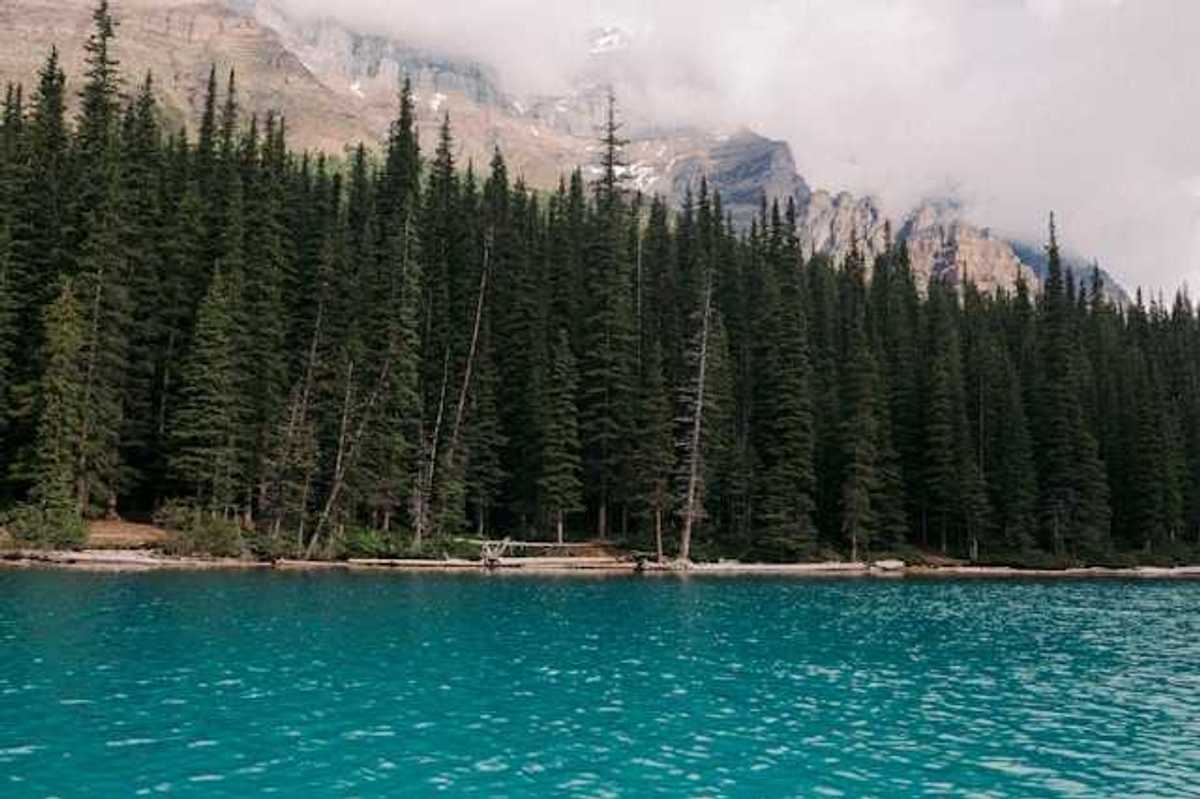 A view of a lake with tall trees and mountains in the background