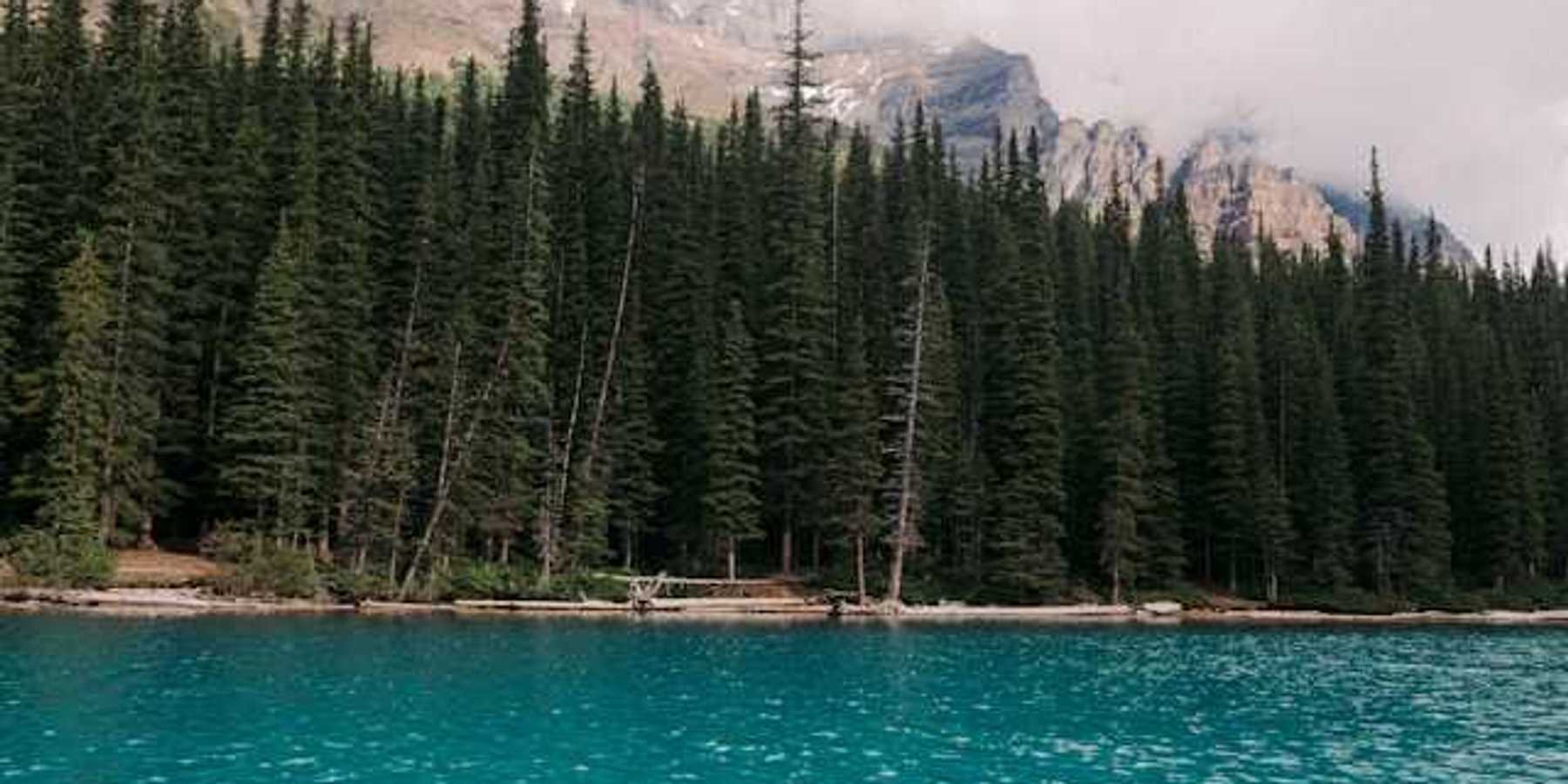 A view of a lake with tall trees and mountains in the background