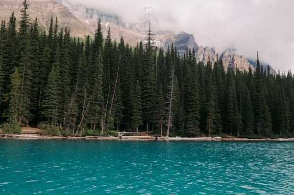 A view of a lake with tall trees and mountains in the background
