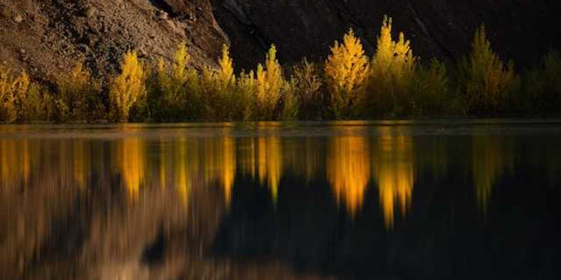 A view of a lake with trees at the water line