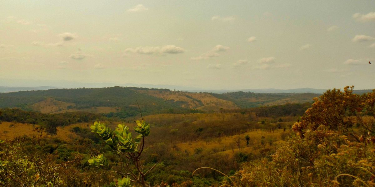 a view of a lush green valley surrounded by trees.