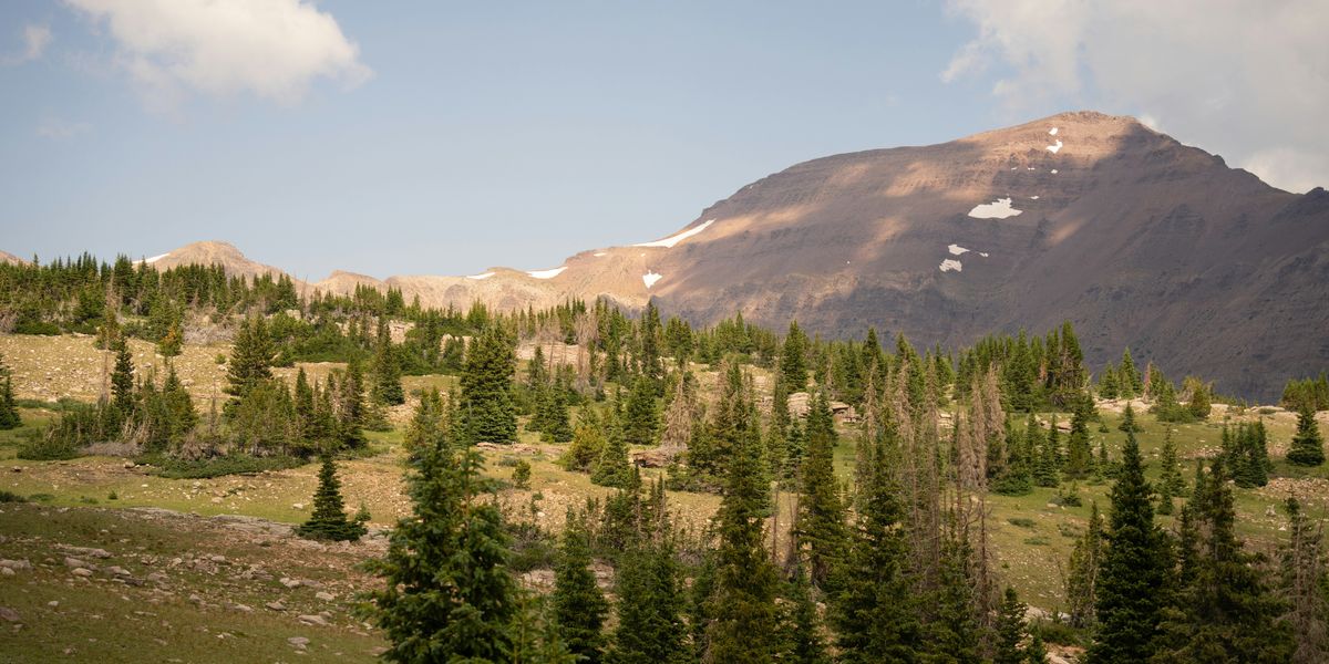A view of a mountain with trees in the foreground.