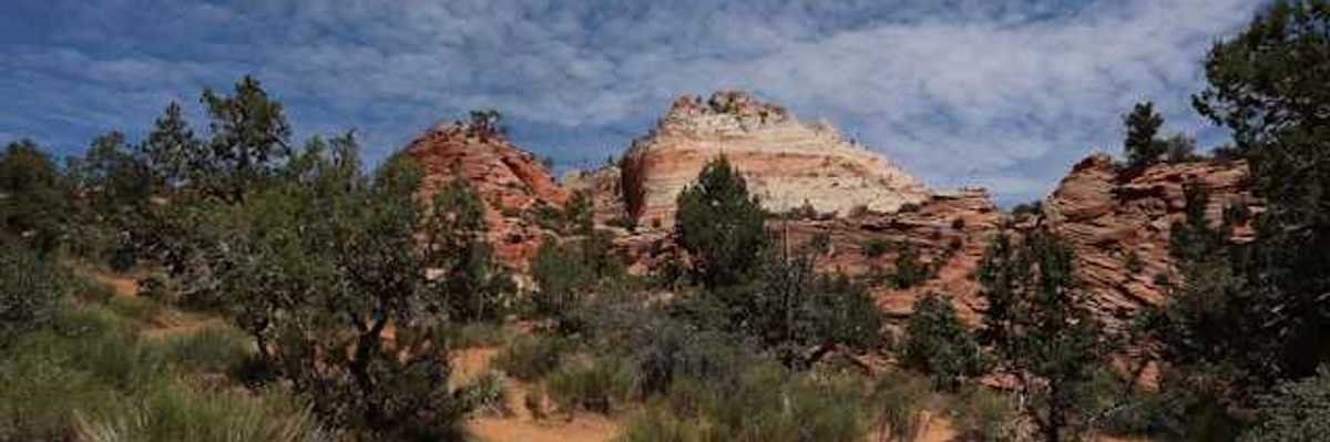 A view of a red and tan mountain with brush and trees in the foreground