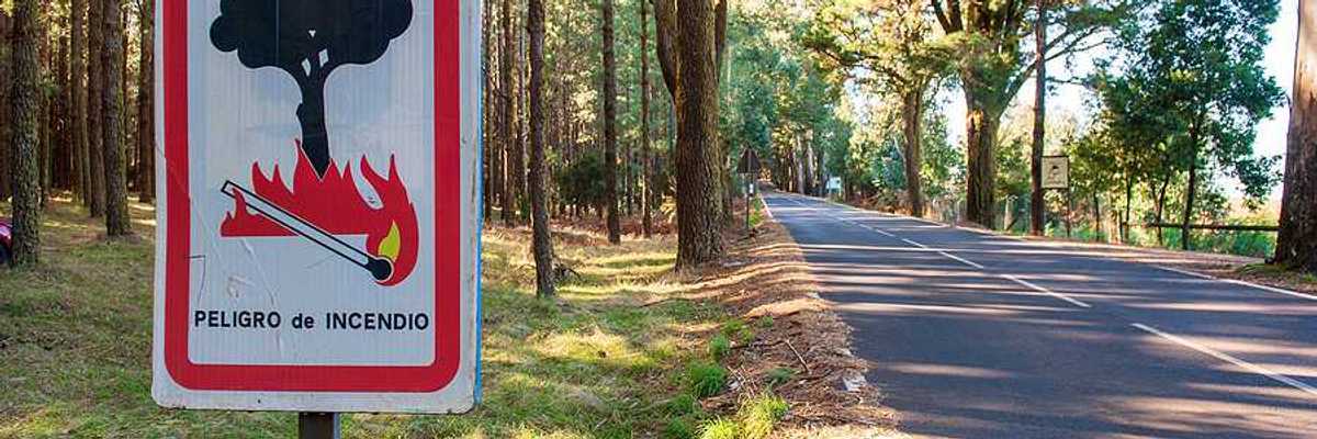 A view of a road through a forest with a sign in Spanish warning of wildfire danger