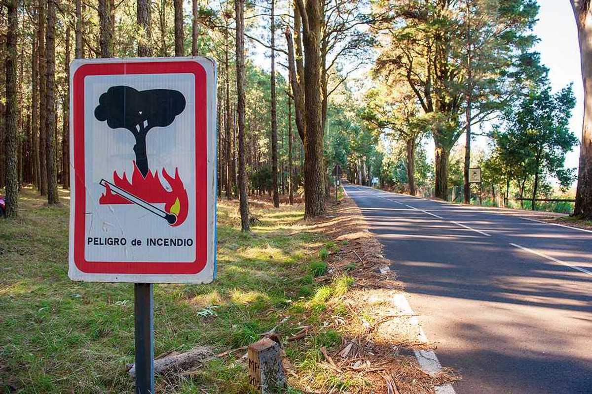 A view of a road through a forest with a sign in Spanish warning of wildfire danger