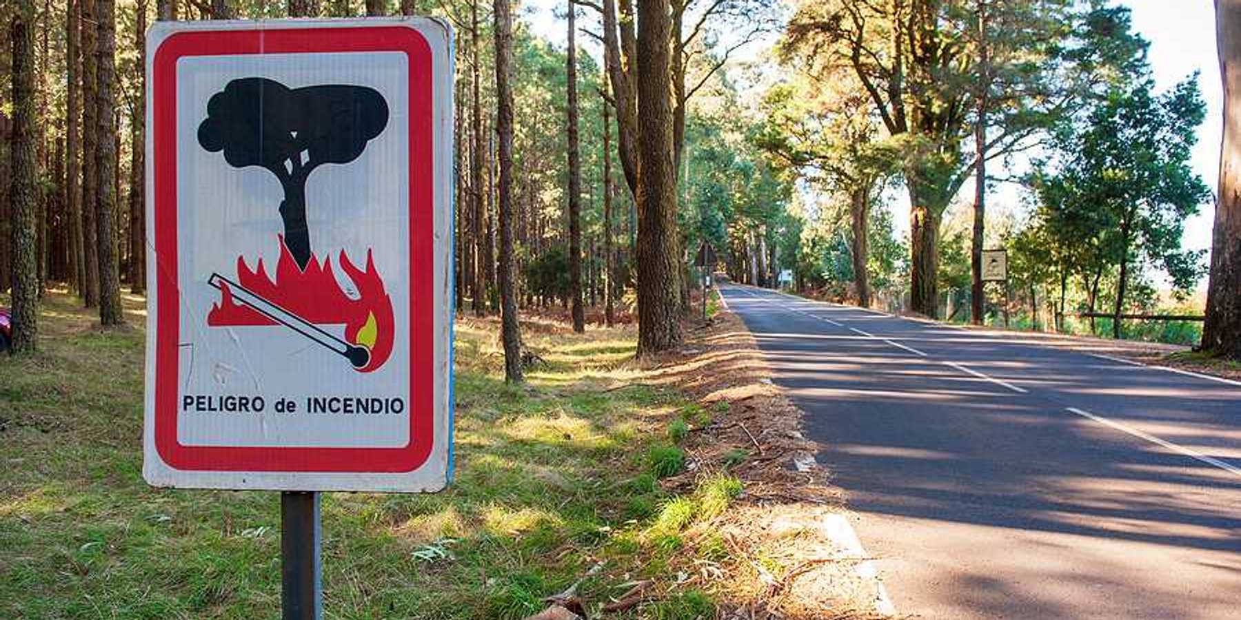 A view of a road through a forest with a sign in Spanish warning of wildfire danger
