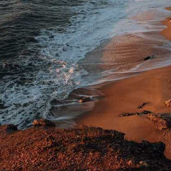 A view of a rocky beach from above with waves crashing on the shore
