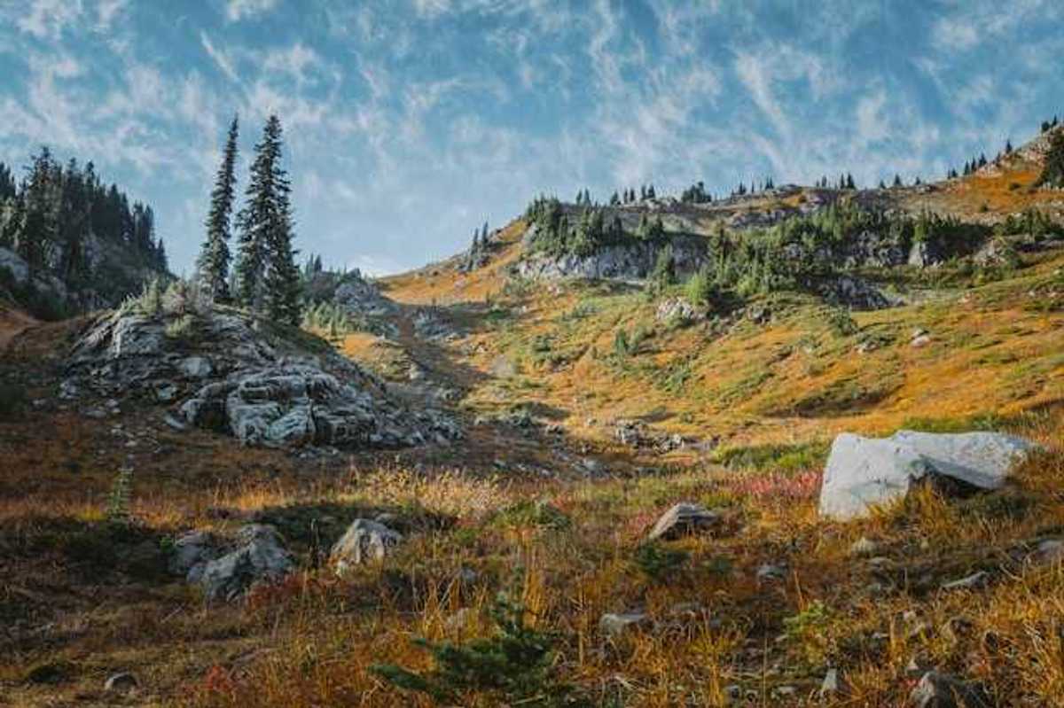 A view of a rocky wilderness with trees and boulders