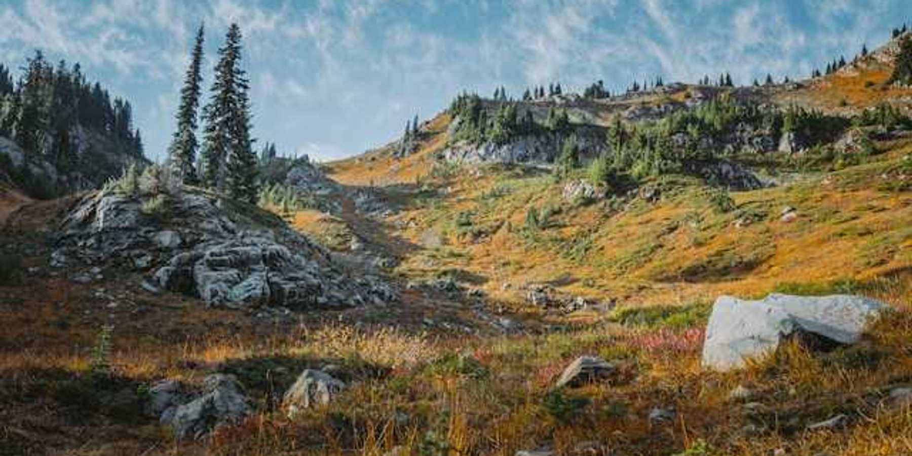 A view of a rocky wilderness with trees and boulders