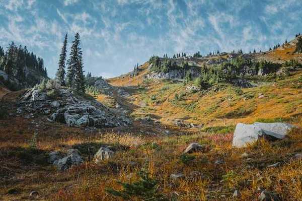 A view of a rocky wilderness with trees and boulders