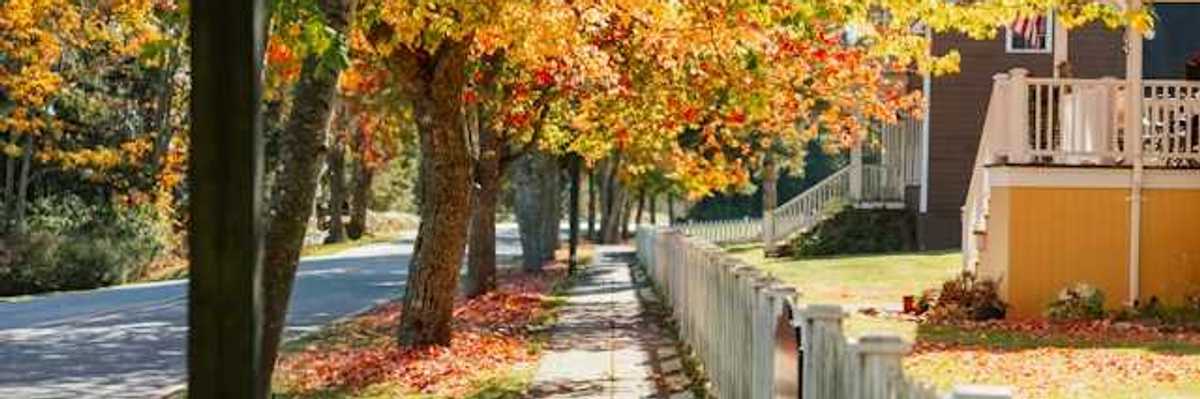 A view of a sidewalk in a neighborhood with trees lining the street